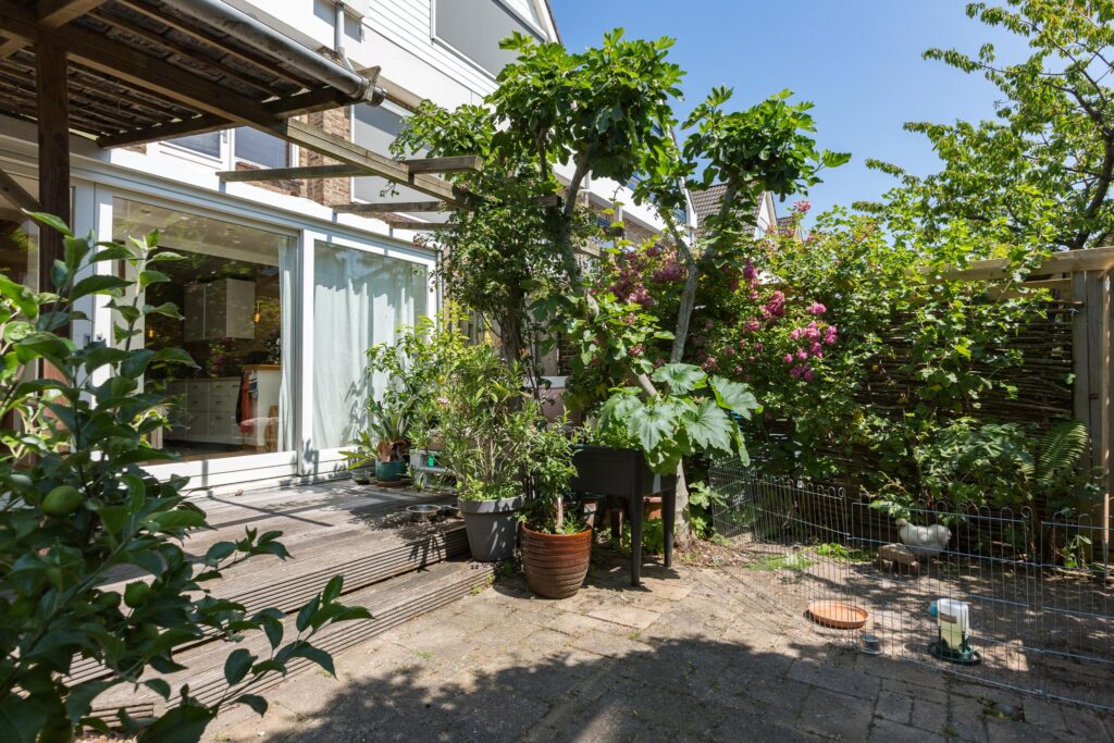 Gallery - 41