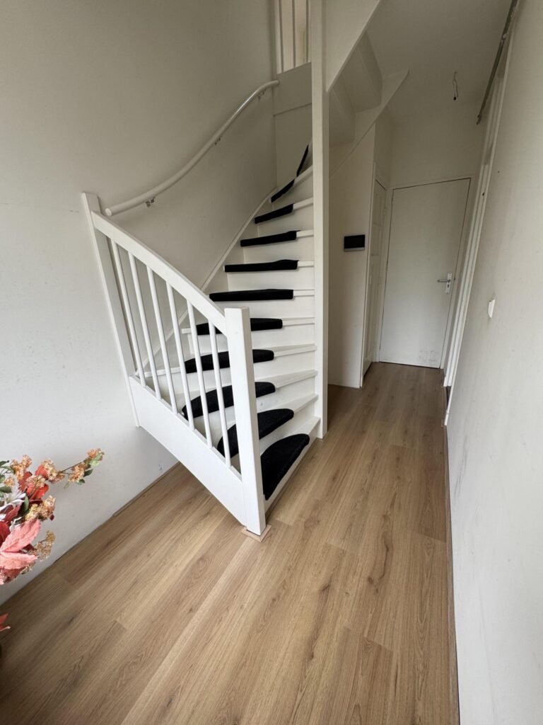 Gallery - 6