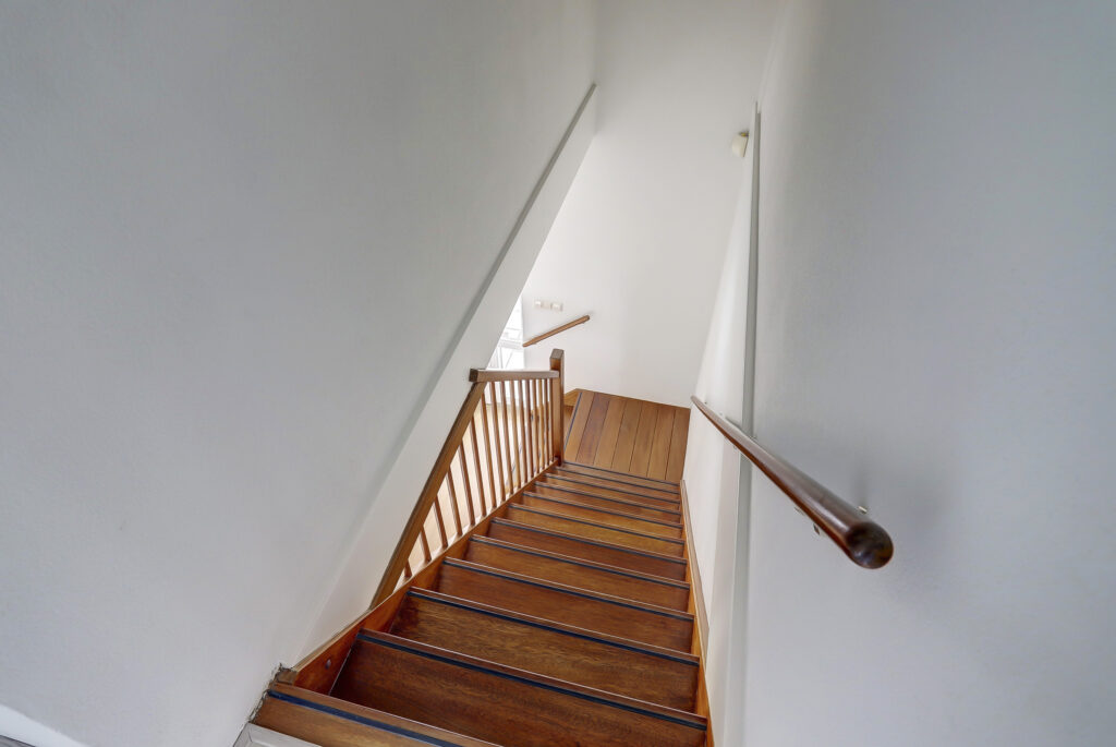 Gallery - 54