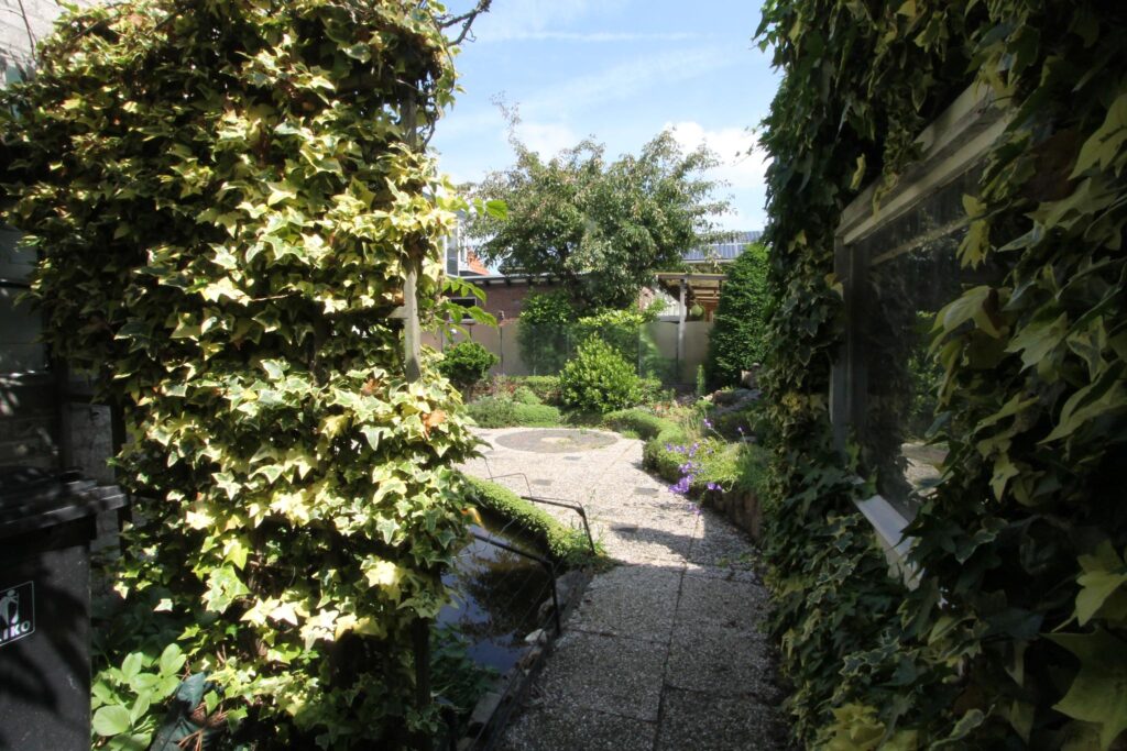Gallery - 28