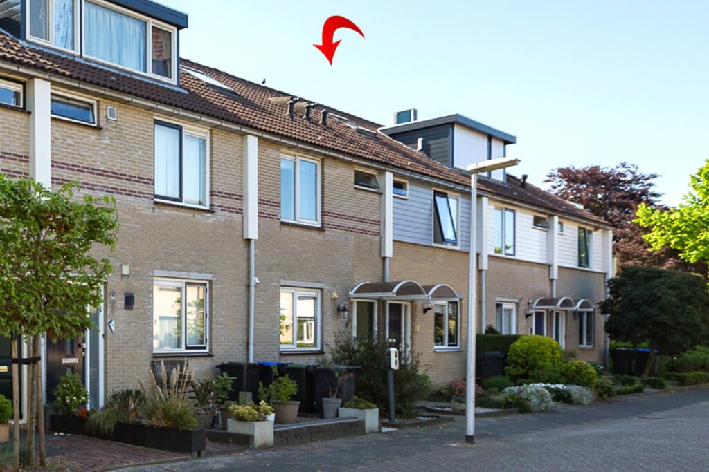 Boekweitveld 50