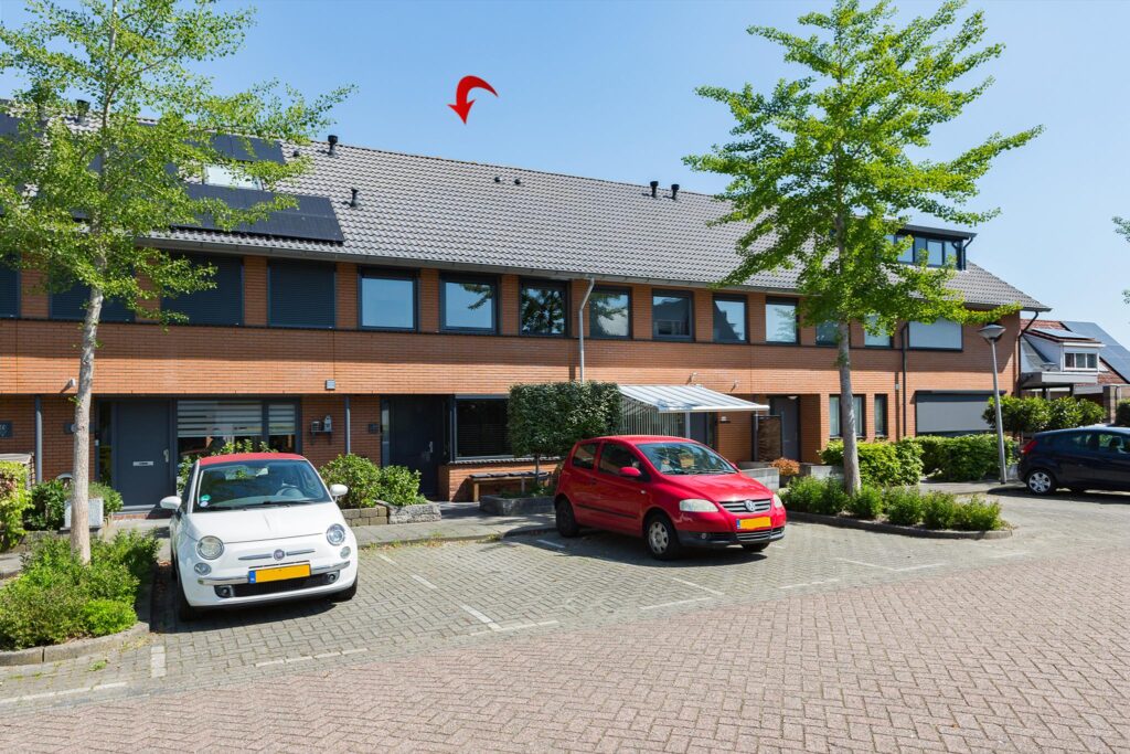 Steenbreekvaren 64