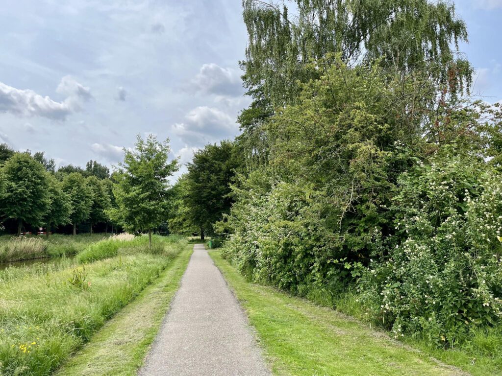 Gallery - 50