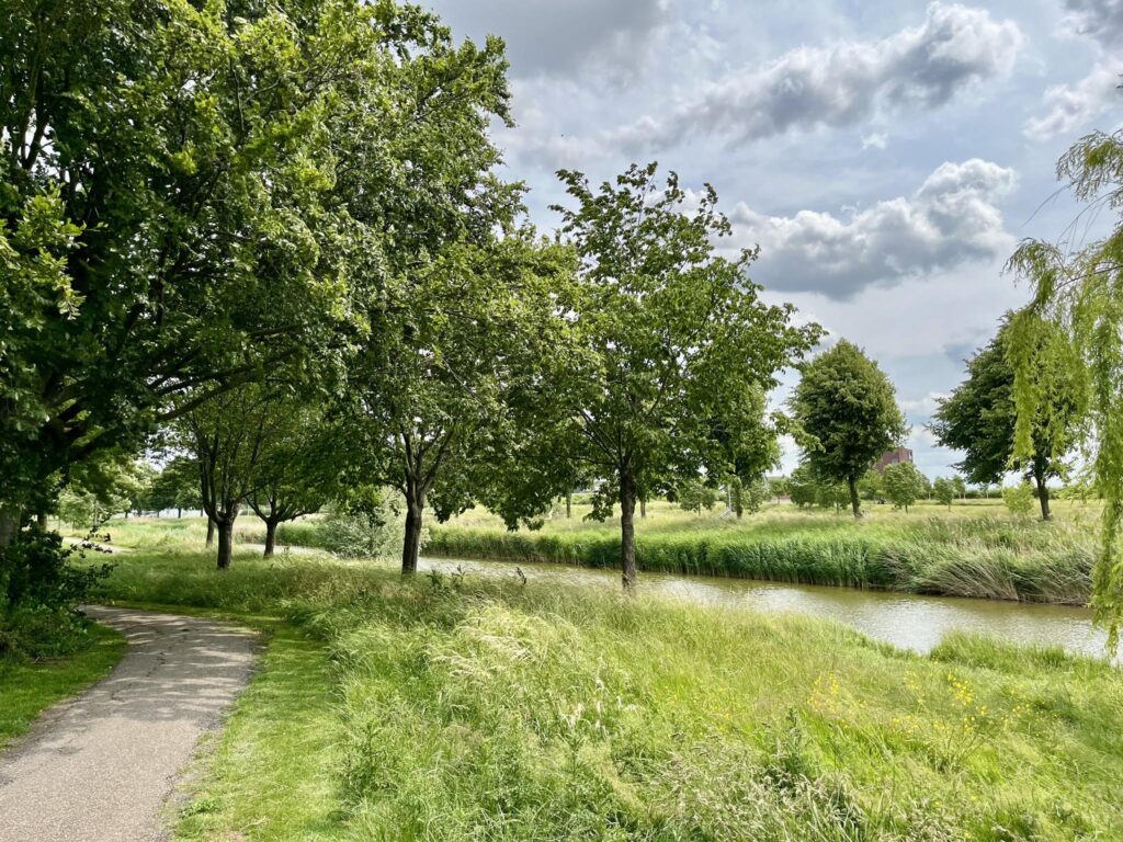 Gallery - 52