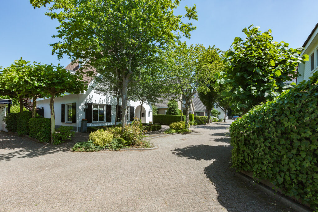 Gallery - 5